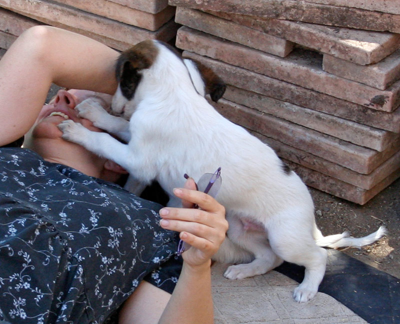 Reds Making Me Laugh